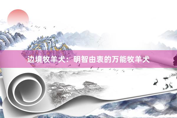 边境牧羊犬：明智由衷的万能牧羊犬