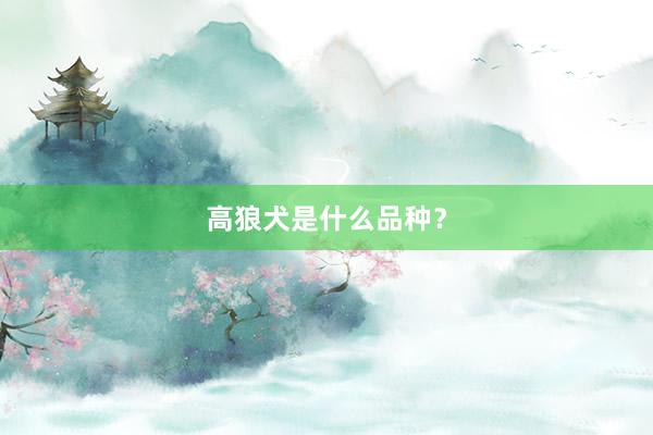 高狼犬是什么品种？