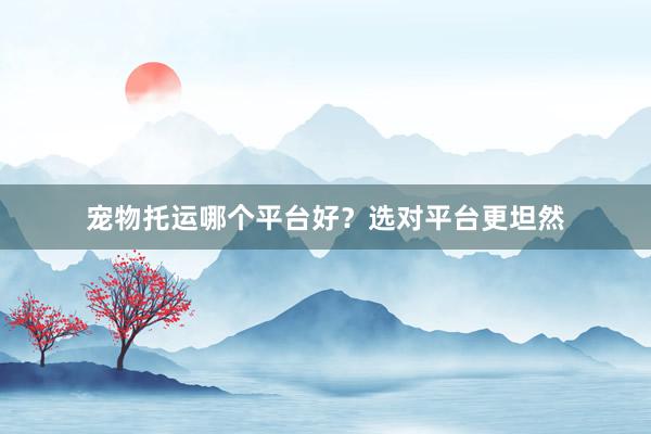宠物托运哪个平台好?选对平台更坦然